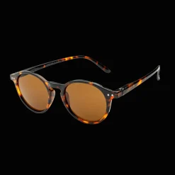 017 Waye Demibrown W Brown Lens, aurinkolasit, unisex - Lifestyle Aurinkolasit - 017 Waye Demibrown W Brown Lens, aurinkolasit, unisex