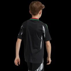 Arsenal Away Jersey 2024/25, nuorten jalkapalloasu - Premier League - Arsenal Away Jersey 2024/25, nuorten jalkapalloasu