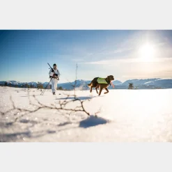 BC Skis Kongsvold Hunter 24/25, metsäsukset - Metsäsukset Ja Vaellussukset - BC Skis Kongsvold Hunter 24/25, metsäsukset