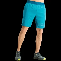 Borg Shorts, miesten treenishortsit - Urheilushortsit - Borg Shorts, miesten treenishortsit