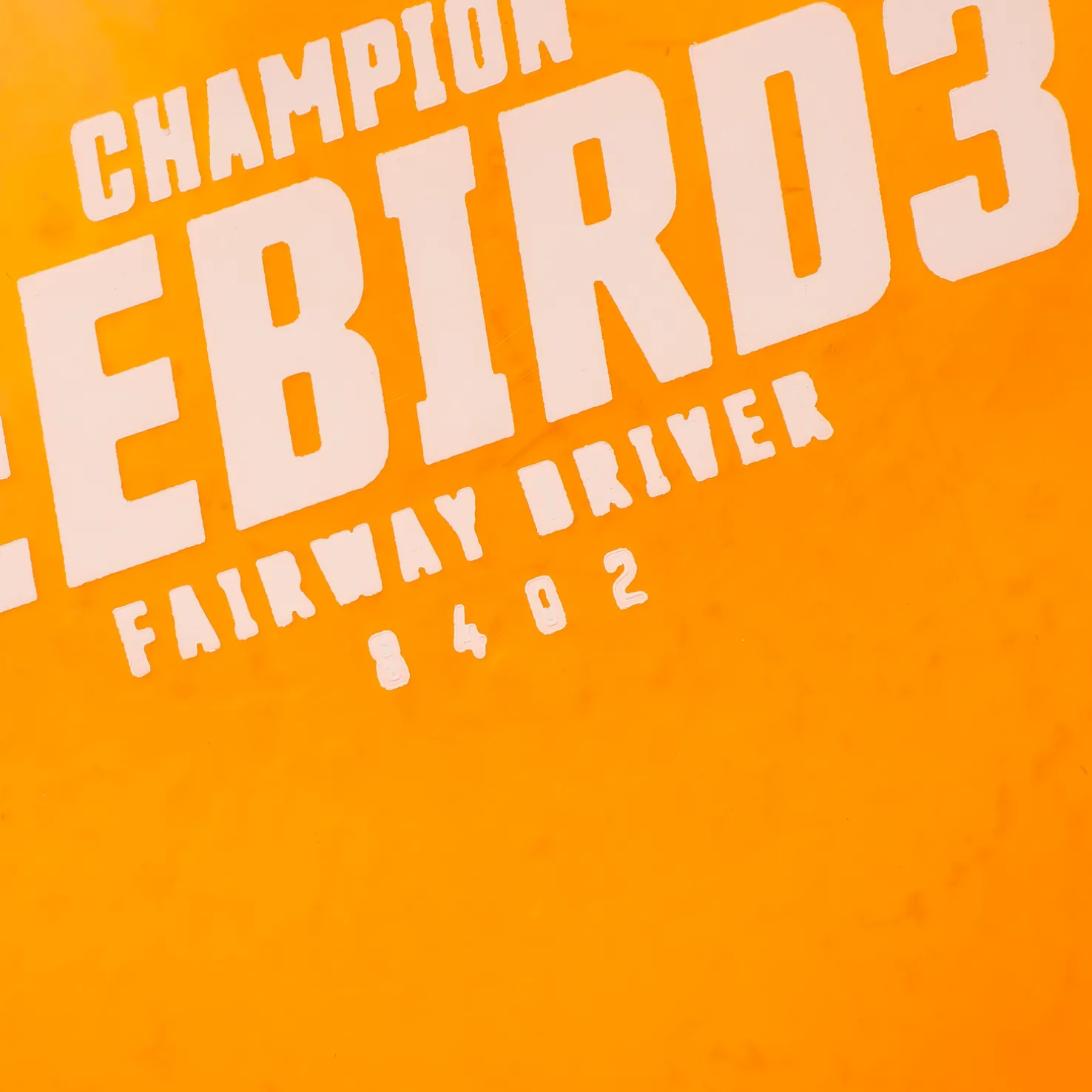 Champion Driver Teebird3, 173-175g, Assorted, draiveri - Frisbeegolf - Champion Driver Teebird3, 173-175g, Assorted, draiveri