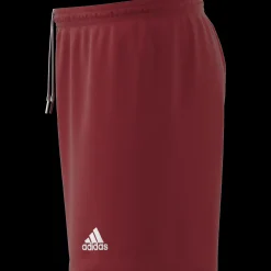 ENT22 Shorts, miesten treenishortsit - Jalkapalloshortsit - ENT22 Shorts, miesten treenishortsit