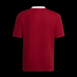 Entrada 22 Jersey, T-paita juniori - Jalkapallopaidat - Entrada 22 Jersey, T-paita juniori