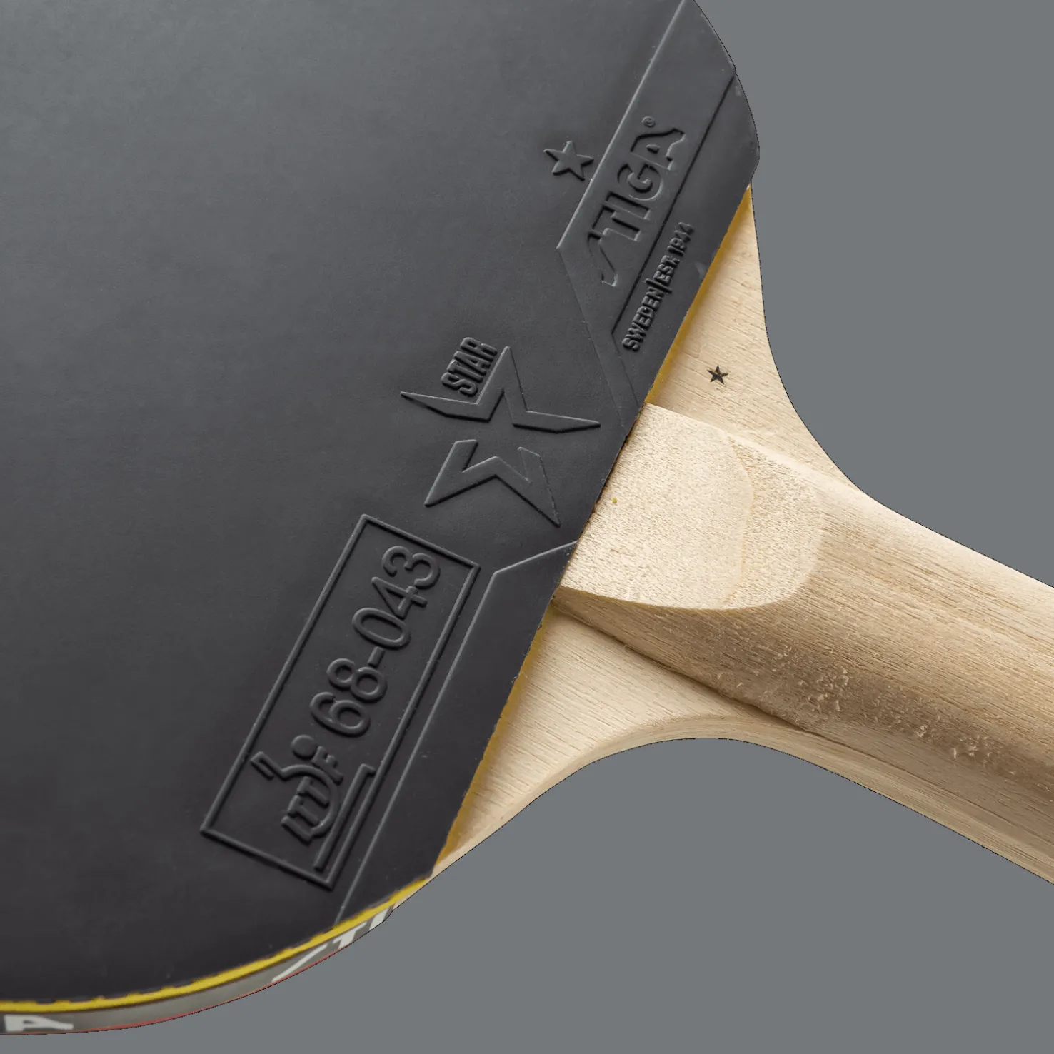 Evolve - 1-star, pöytätennismaila - Pingismailat - Evolve - 1-star, pöytätennismaila