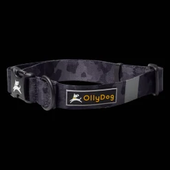 Flagstaff Collar, koiran kaulapanta - Koiran Pannat, Hihnat Ja Koiran Fleksit - Flagstaff Collar, koiran kaulapanta