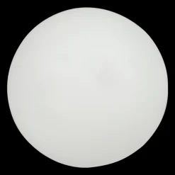 FZ Amaze Table Tennis Ball 1-Star - 12 Pcs, pingispallot - Pingistarvikkeet - FZ Amaze Table Tennis Ball 1-Star - 12 Pcs, pingispallot