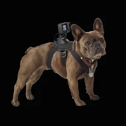 GoPro Fetch (Dog Harness) - Kameroiden lisävarusteet - GoPro Fetch (Dog Harness)