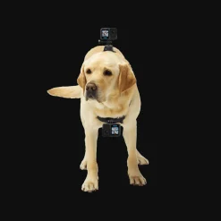GoPro Fetch (Dog Harness) - Kameroiden lisävarusteet - GoPro Fetch (Dog Harness)