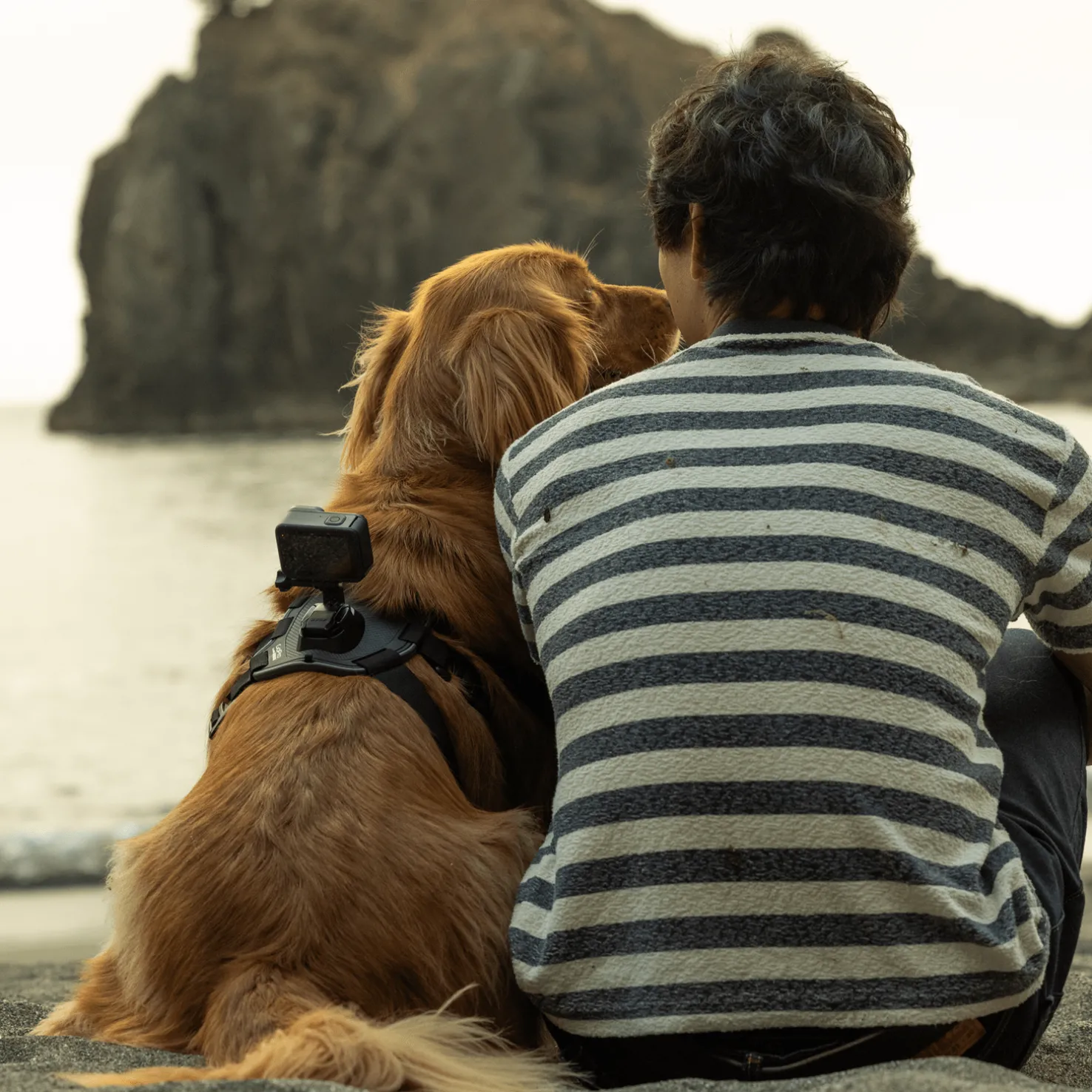 GoPro Fetch (Dog Harness) - Kameroiden lisävarusteet - GoPro Fetch (Dog Harness)
