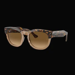 Havana On Transparent, naisten aurinkolasit - Lifestyle Aurinkolasit - Havana On Transparent, naisten aurinkolasit