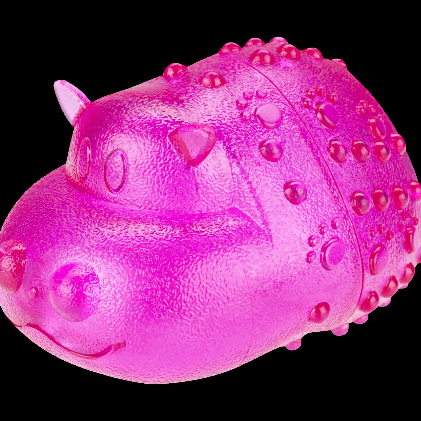 Hedghog - Koiran Lelut Ja Kuntoilu - Hedghog