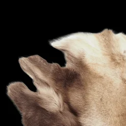 Porontalja ulkokäyttöön - Istuimen pohja - Porontalja ulkokäyttöön