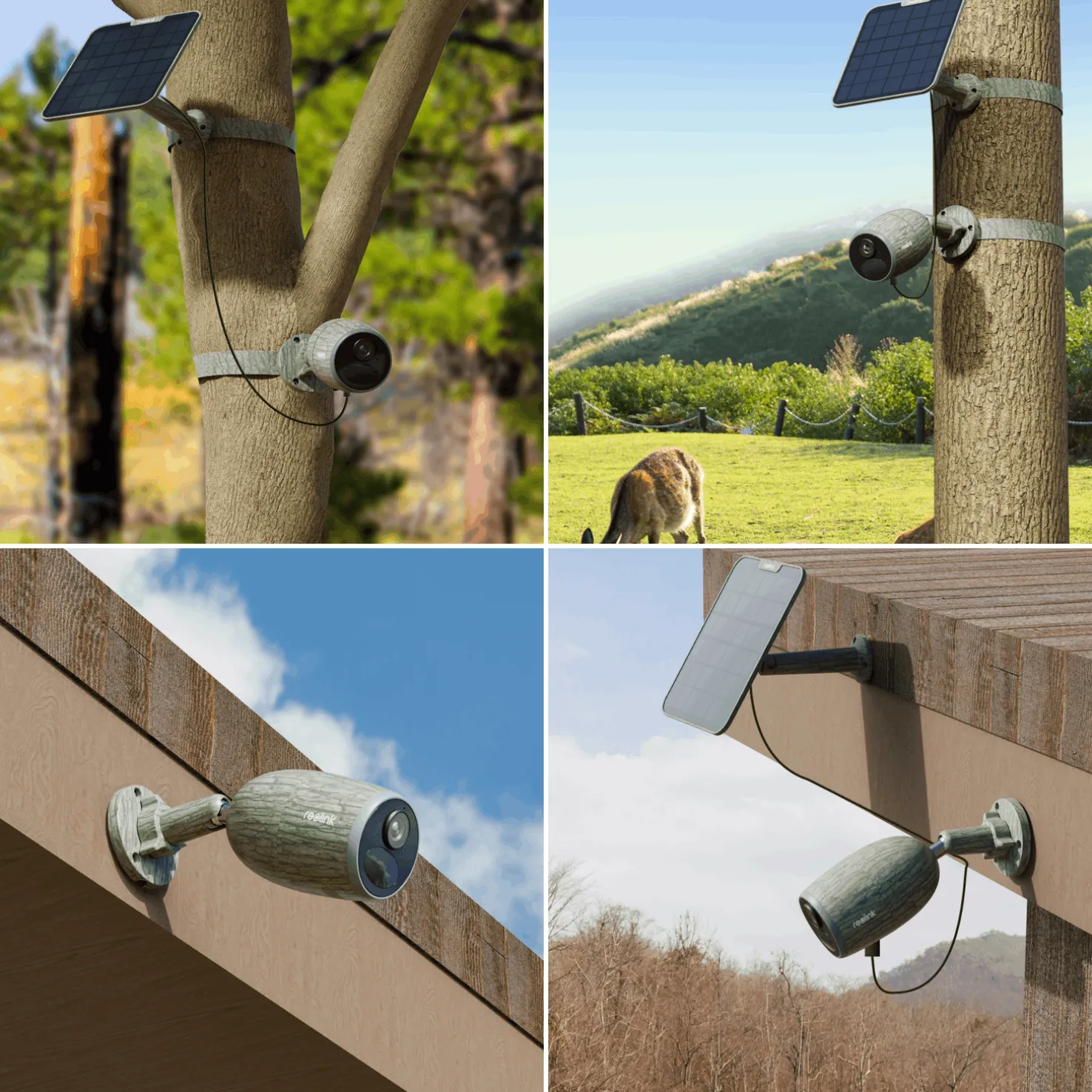 Reolink GO Plus Camo, paristokäyttöinen 4G-kamera - Riistakamerat - Reolink GO Plus Camo, paristokäyttöinen 4G-kamera