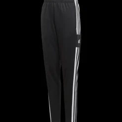Squadra 21 Training Pant, nuorten treenihousut - Verryttelyhousut - Squadra 21 Training Pant, nuorten treenihousut