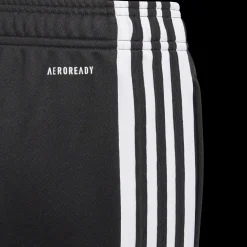 Squadra 21 Training Pant, nuorten treenihousut - Verryttelyhousut - Squadra 21 Training Pant, nuorten treenihousut